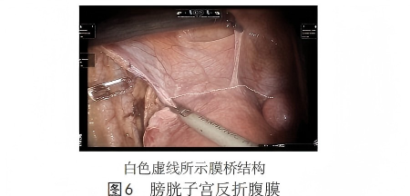 WPS图片(1)6(1).png